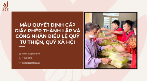 mau-quyet-dinh-cap-giay-phep-thanh-lap-va-cong-nhan-dieu-le-quy-tu-thien-quy-xa-hoi