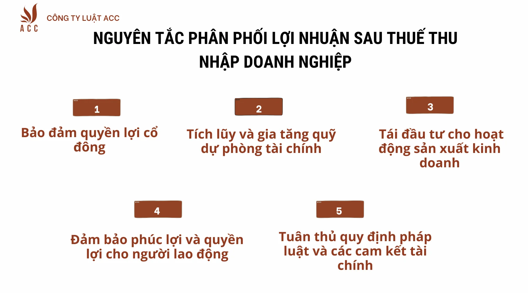 Nguyên tắc phân phối lợi nhuận sau thuế thu nhập doanh nghiệp