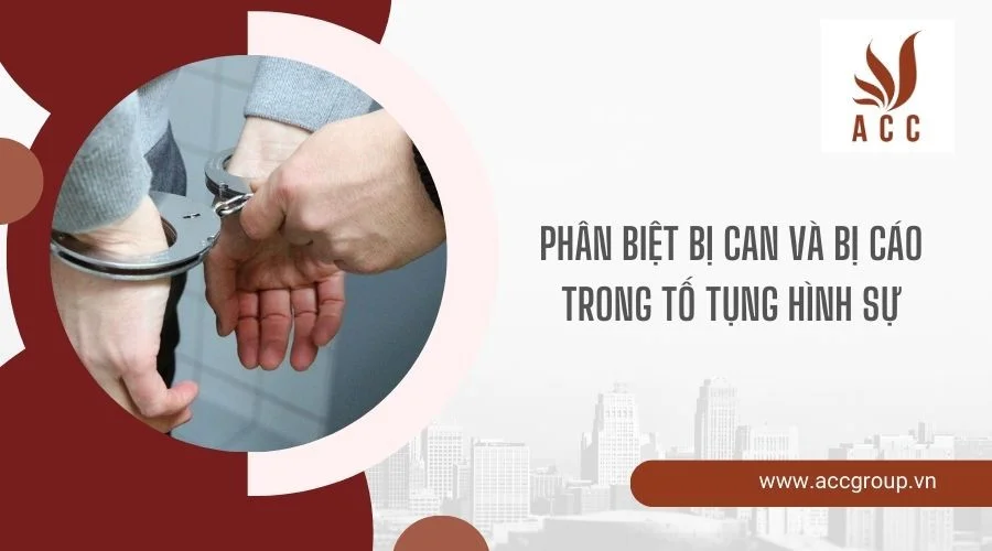 Phân biệt bị can và bị cáo trong tố tụng hình sự