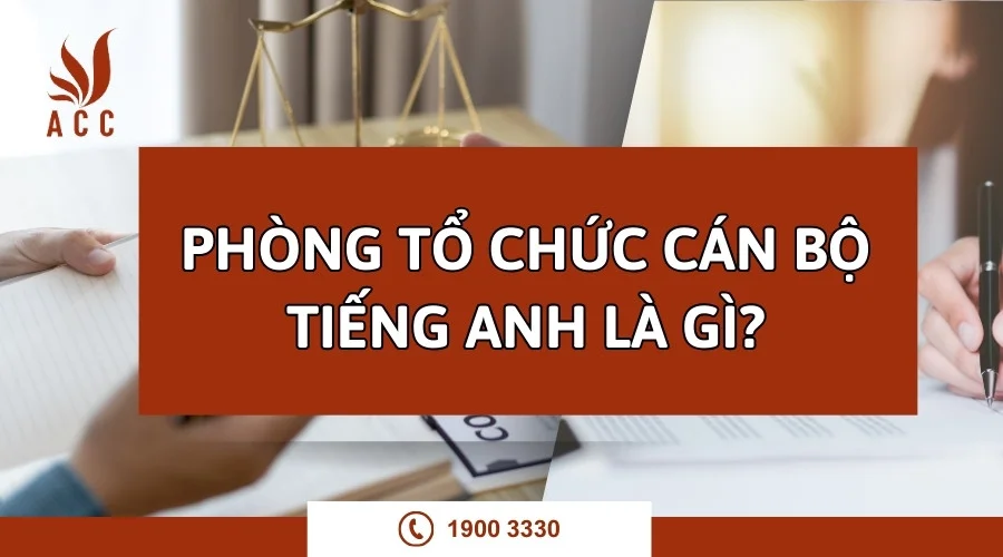 Phòng tổ chức cán bộ tiếng anh là gì?