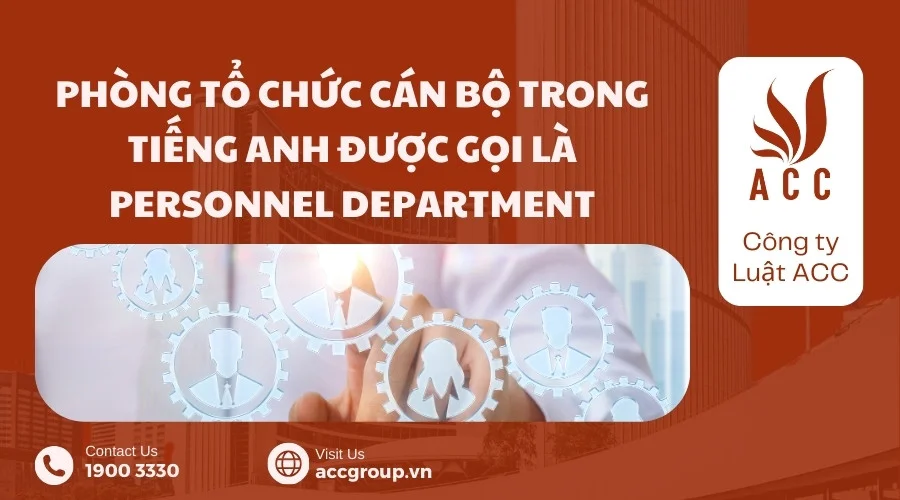 Phòng tổ chức cán bộ tiếng Anh là gì? 