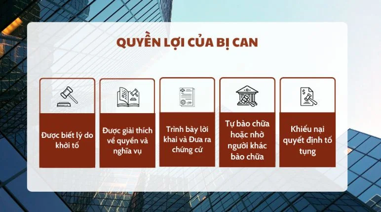 Quyền lợi của bị can