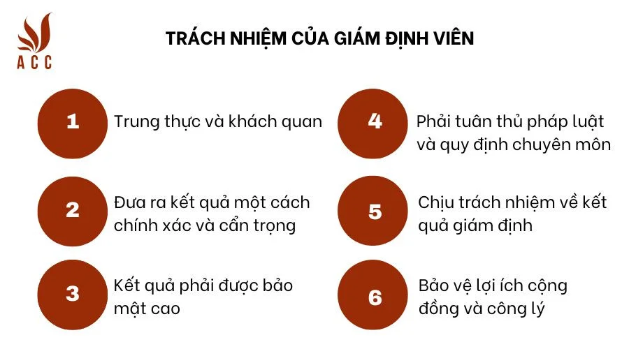 Trách nhiệm của giám định viên