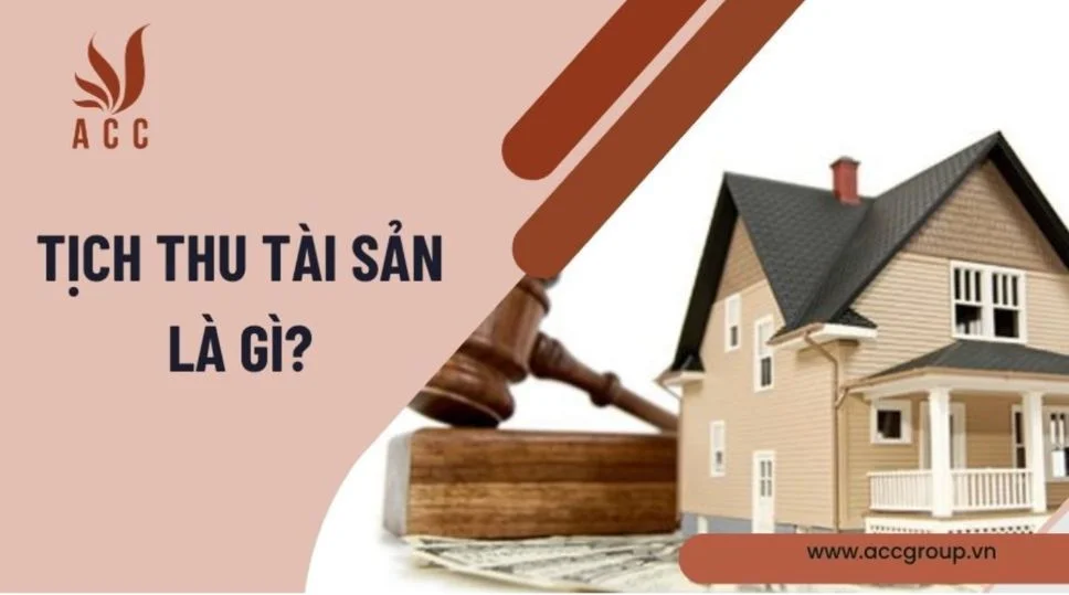 Tịch thu tài sản là gì?