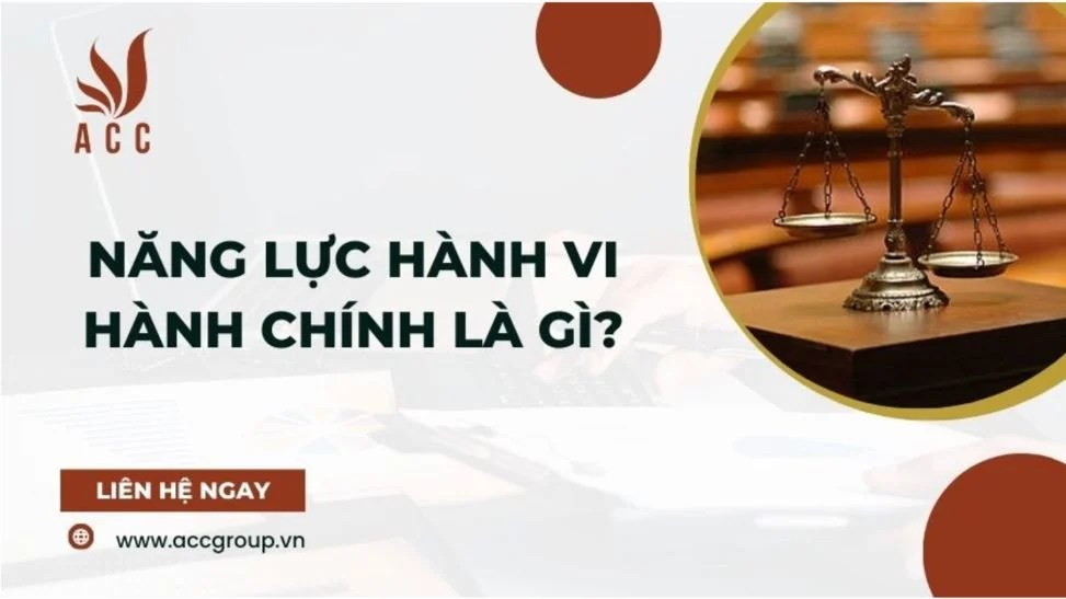 Năng lực hành vi hành chính là gì?