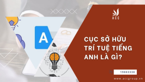 cuc-so-huu-tri-tue-tieng-anh-la-gi