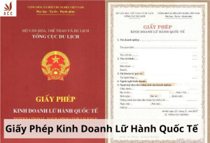 giay-phep-kinh-doanh-lu-hanh-quoc-te