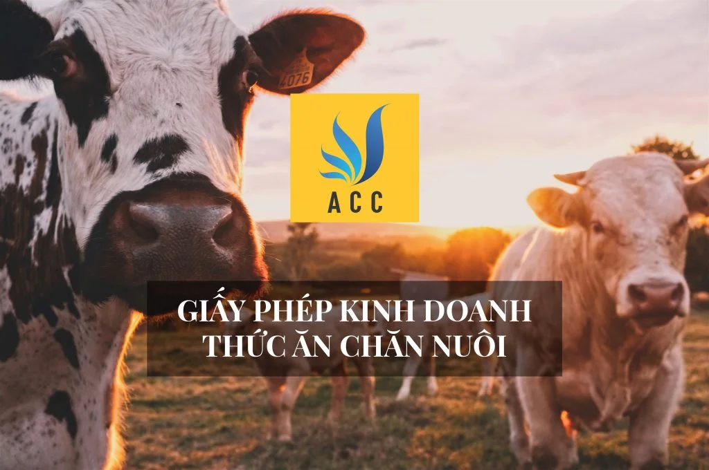 Giấy phép Thức ăn chăn nuôi