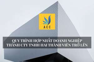 hop-nhat-doanh-nghiep-thanh-cong-ty-tnhh