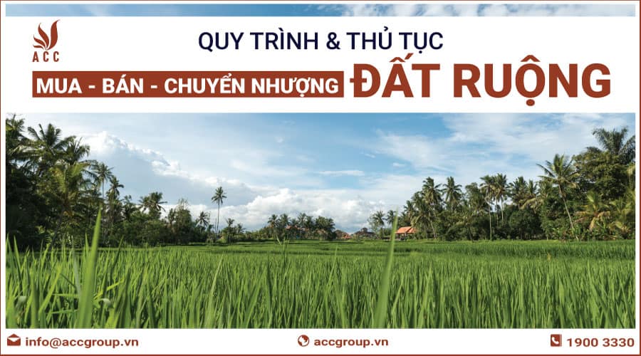 Mua bán đất ruộng cần thủ tục gì? (Quy trình cập nhật 2021)