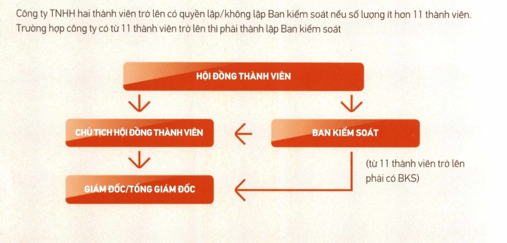 Cơ Cấu Tổ Chức Công Ty Tnhh 2 Thành Viên Trở Lên