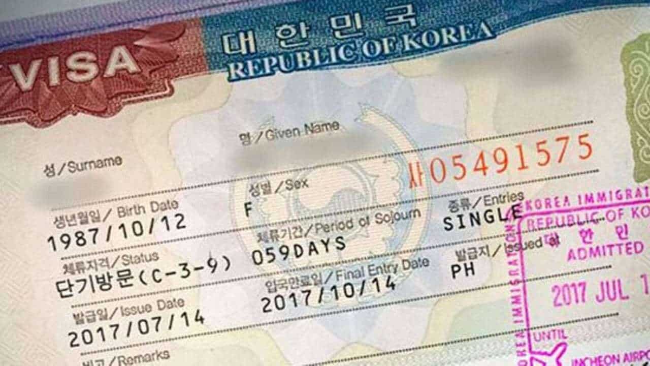 Visa gave. Корейская виза. Korean visa. Виза в Корею для россиян 2023. Korea work visa.