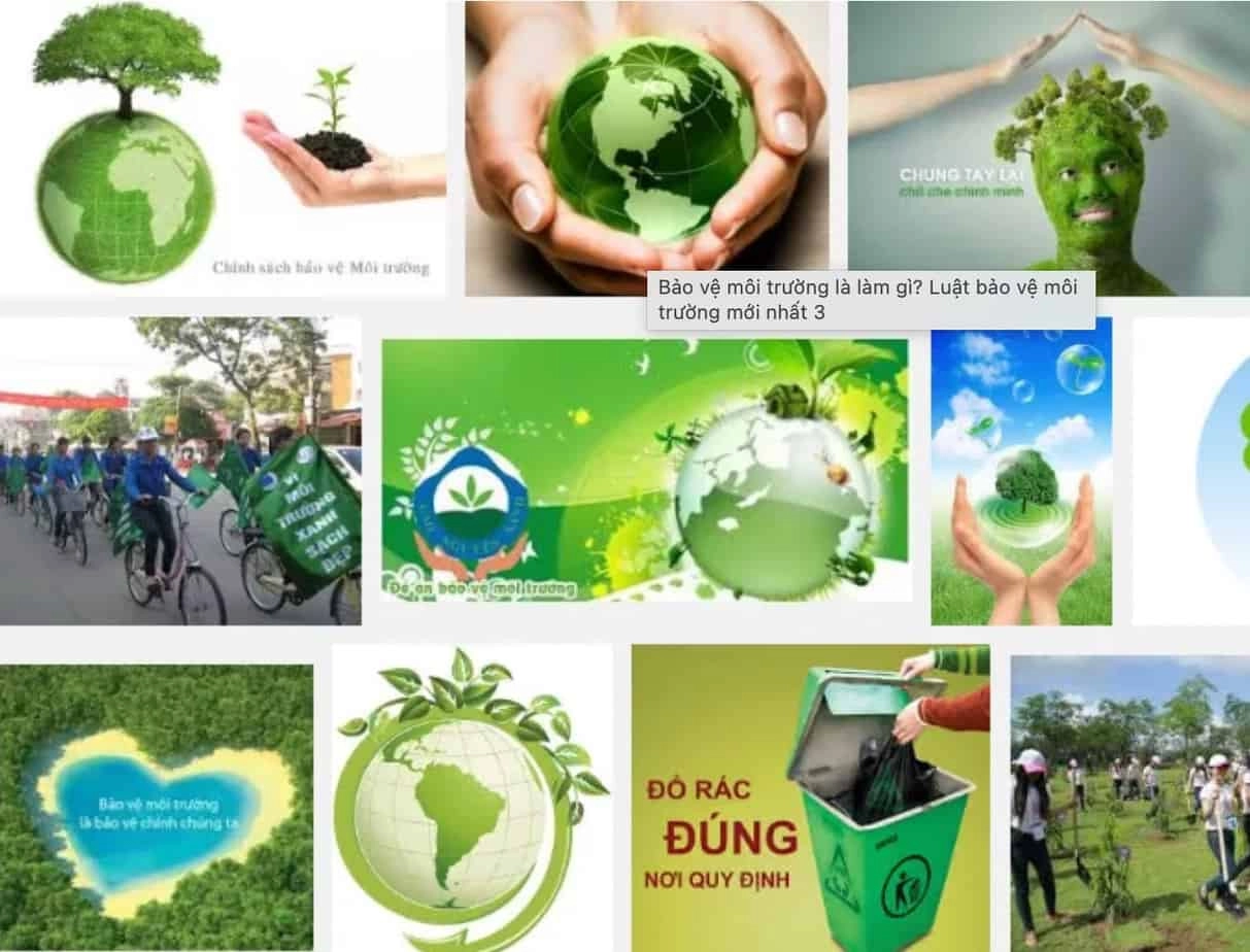 Xu-ly-vi-pham-ve-moi-truong-Cap-nhat-moi-2021