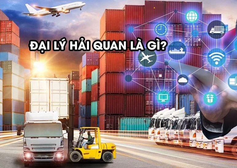 dai-ly-thu-tuc-hai-quan-la-gi-e1634301345282