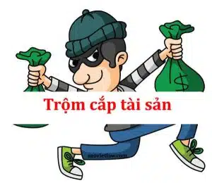 Toi Trom Cap Tai San Luat Hinh Su
