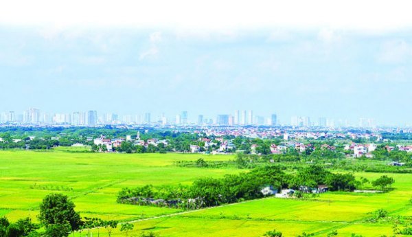 Tại sao phải chuyển mục đích sử dụng đất (Cập nhật 2023)