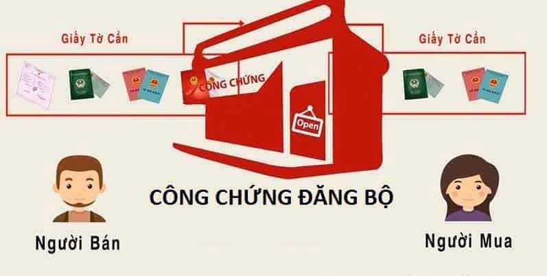 thu-tuc-dang-bo-binh-chanh