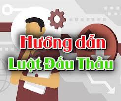 Thông tư hướng dẫn Luật Đấu thầu mới nhất