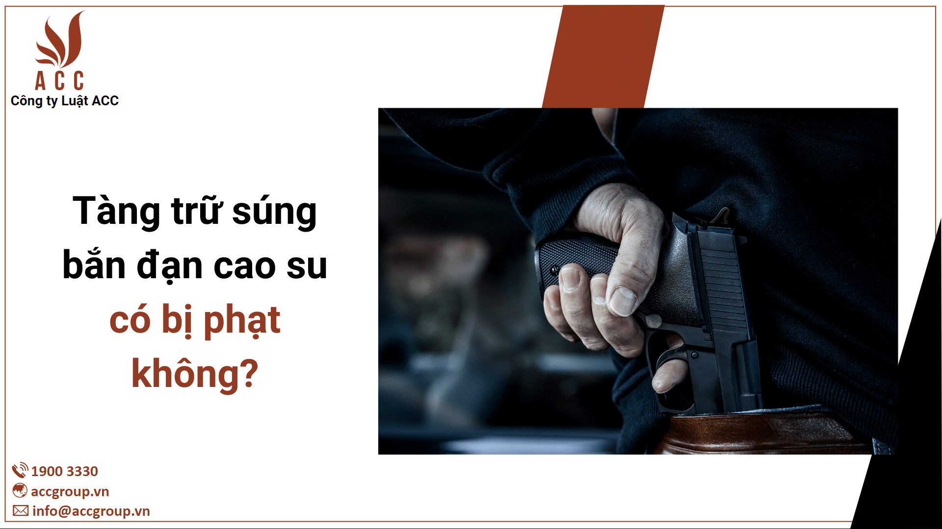 Tàng trữ súng bắn đạn cao su có bị phạt không?