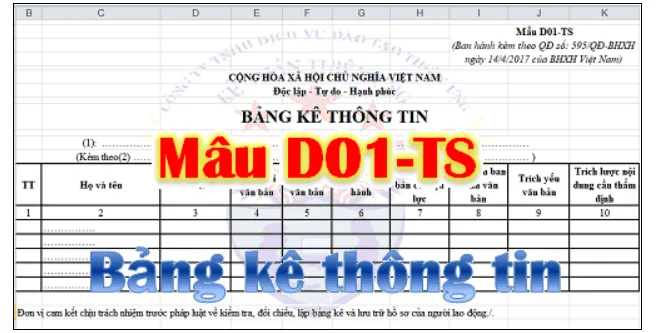 Bảng kê thông tin theo quyết định 595