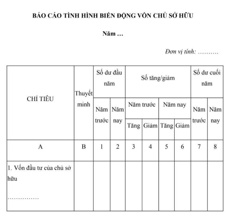 noi-dung-bao-cao-von-chu-so-huu