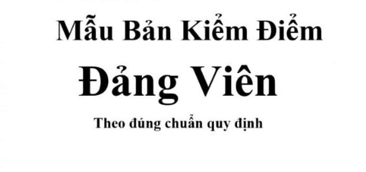Ban-kiem-diem-dang-vien-nam-2013-1
