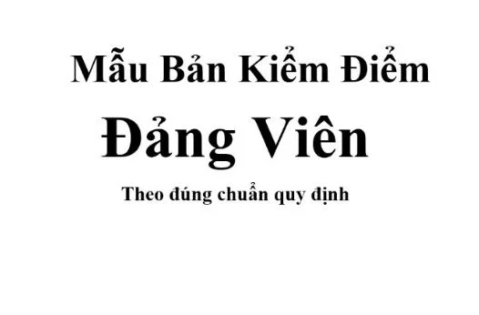 kiem-diem-dang-vien-nam-2019-1