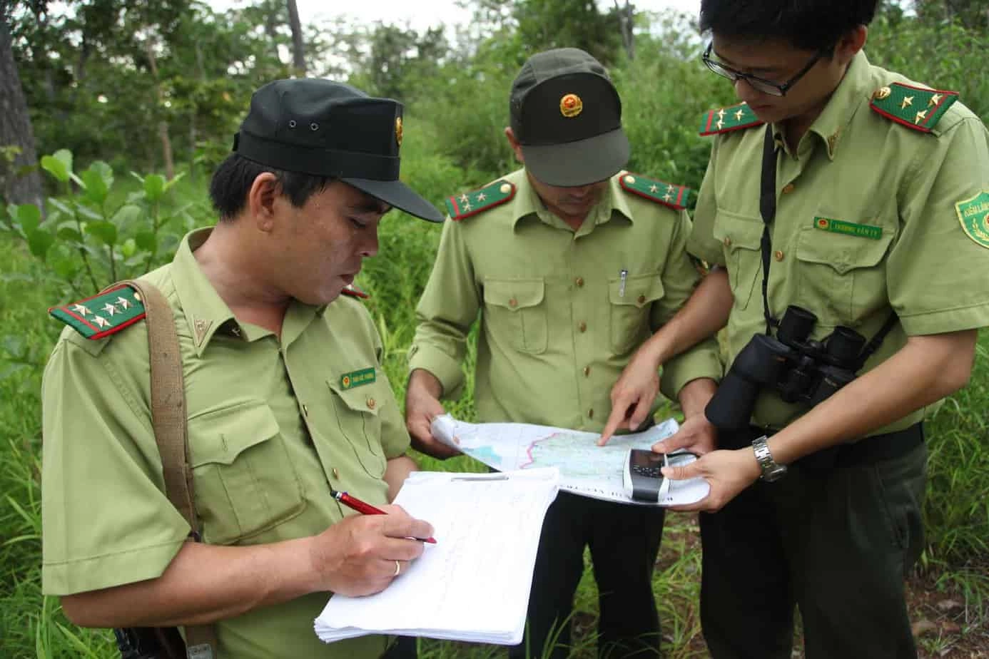 Kiểm lâm là gì