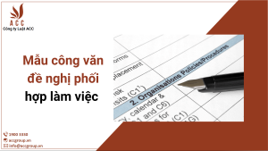 MAU-TO-KHAI-HO-CHIEU-TRE-EM-2022-10-4