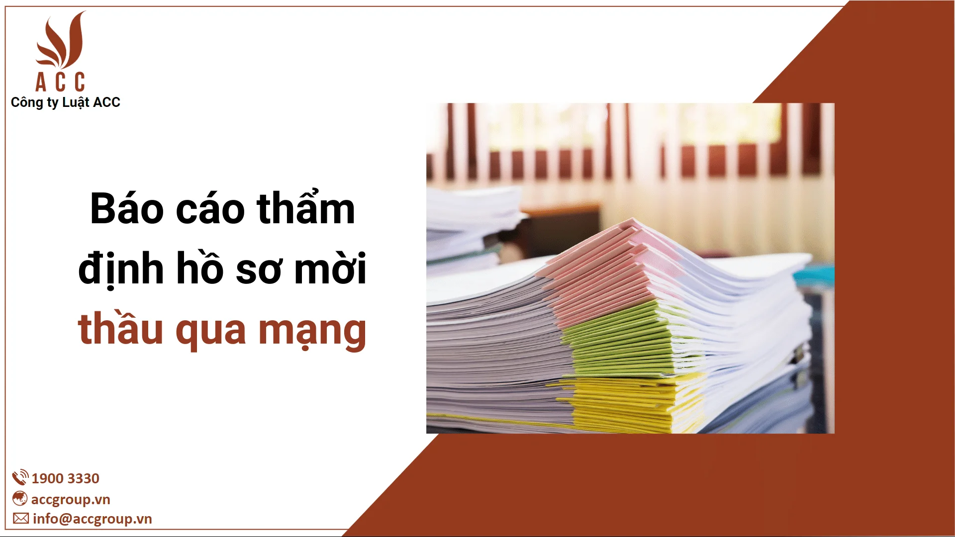 Báo cáo thẩm định hồ sơ mời thầu qua mạng