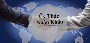 hop-dong-uy-thac-nhap-khau