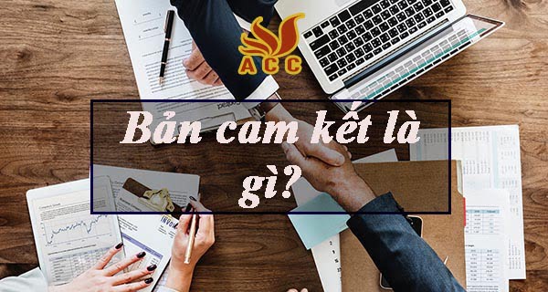 Mẫu cam kết chất lượng sản phẩm, hàng hoá và dịch vụ 2023