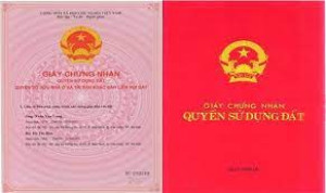 giay-chung-nhan-quyen-su-dung-dat-la-gi-5