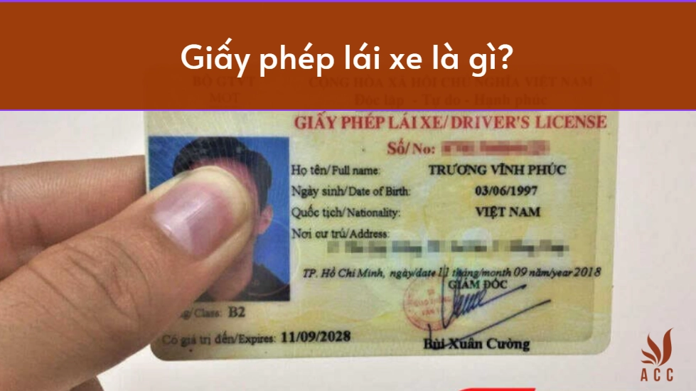 Giấy phép lái xe là gì?