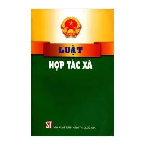 Giám đốc Htx Chức Năng, Nhiệm Vụ Và Quyền Hạn Theo Quy định Của Luật Htx 2012