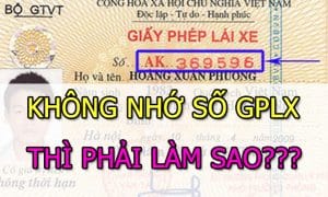 Huong Dan Tra Cuu Giay Phep Lai Xe Khong Nho So 2022