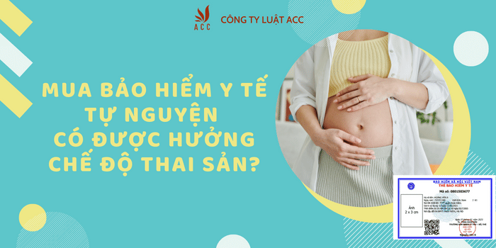 Mua Bảo Hiểm Y Tế Tự Nguyện Có được Hưởng Chế độ Thai Sản