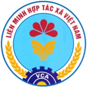 Cropped Logo