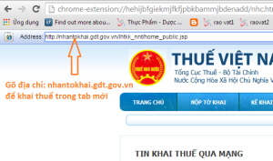 khai-thue-tren-trinh-duyet-chrom-4