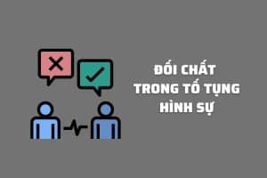 Mau Bien Ban Doi Chat Trong To Tung Hinh Su