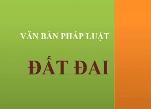 Van Ban Phap Luat Ve Dat Dai 2605002021