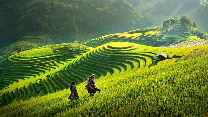 Du lịch xanh là gì? Cơ hội phát triển du lịch Việt Nam