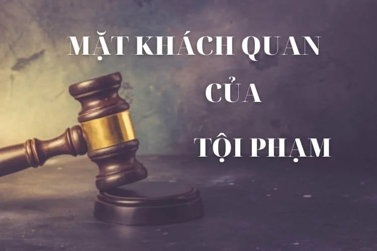 Mặt Khách Quan Của Tội Phạm Là Gì Nội Dung Phân Tích Mặt Khách Quan