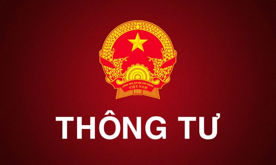 Thông Tư Là Gì?