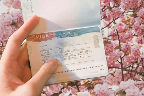 Visa F5 Hàn Quốc Là Gì? Điều Kiện Xin