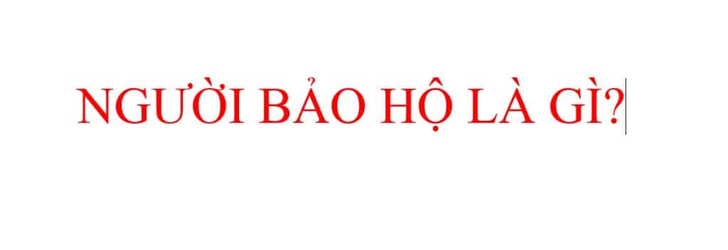 Nguoi Bao Ho La Gi