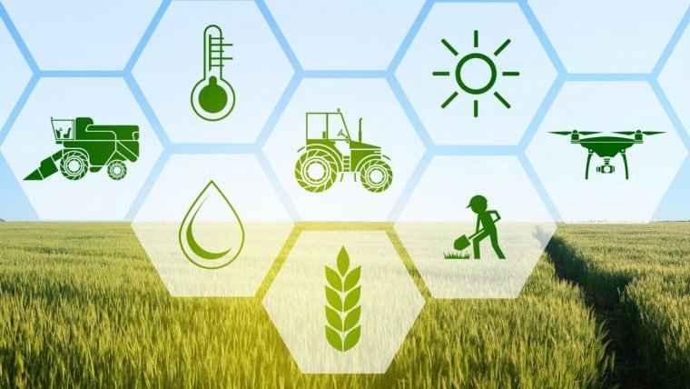 Những mô hình nông nghiệp an toàn và bền vững của tương lai  Vien Khoa Hoc  Ky Thuat Nong Nghiep Mien Nam