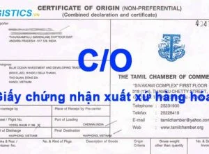 Các Loại Giấy Chứng Nhận Xuất Xứ ở Việt Nam Hiện Nay