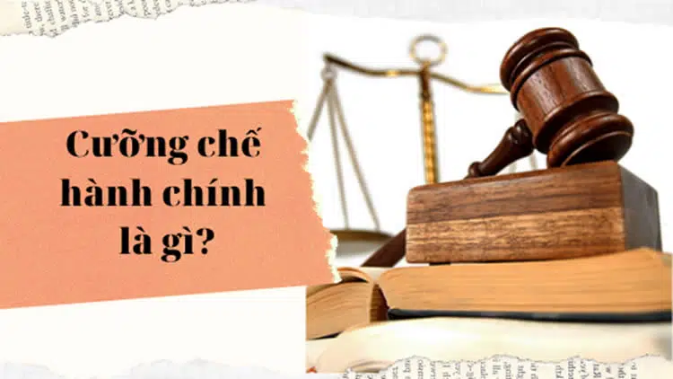 Cưỡng Chế Thi Hành Quyết định Xử Phạt Vi Phạm Hành Chính