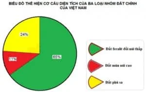 Loại đất Chiếm Diện Tích Lớn Nhất ở Nước Ta Hiện Nay